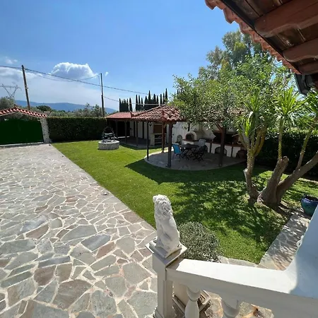 Dimis Swimming Pool Small *